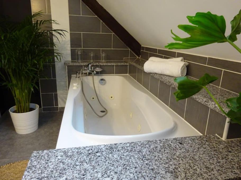 Appartement Panoramique Le Thillot Zewnętrze zdjęcie